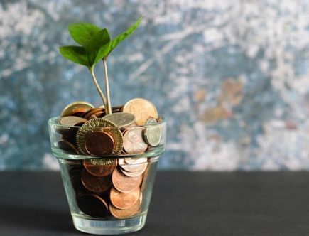 Foto de uma plantinha dentro de um copo cheio de moedas representando a organização financeira.