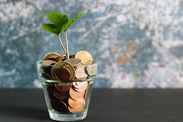 Foto de uma plantinha dentro de um copo cheio de moedas representando a organização financeira.